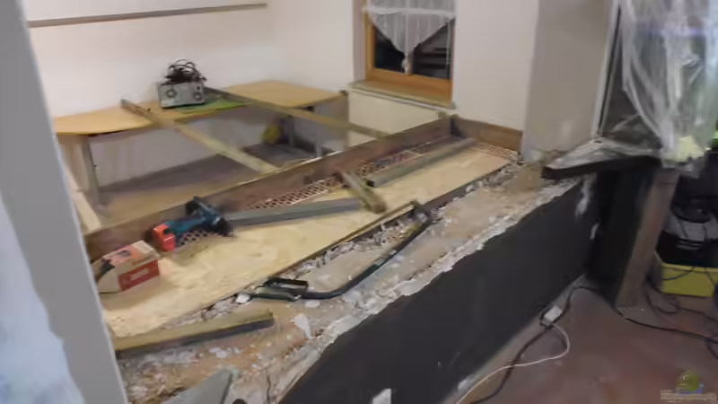 Aquarium Südamerika Gesellschaftsbecken von Tobias Zelzer (22)