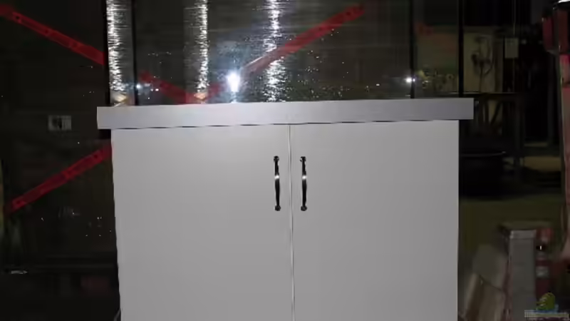 Aquarium Südamerika mit Hyphessobrycon columbianus von Kuller (2)