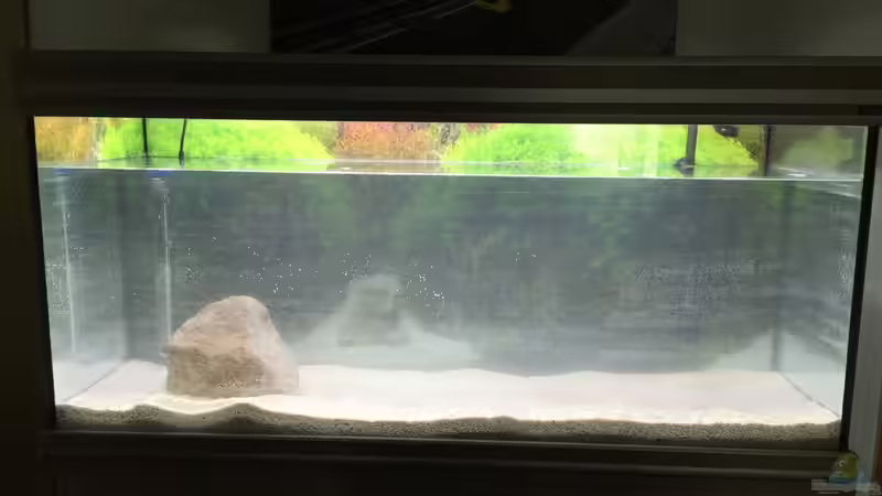 Aquarium Südamerika-Traum von Nxsterr (3)