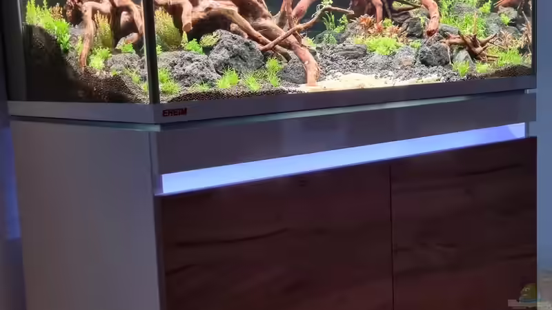 Aquarium Südamerika von FR (2)