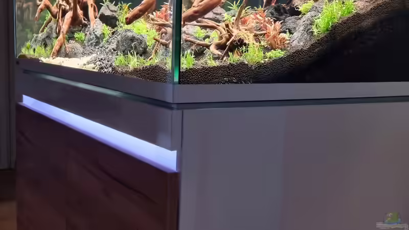 Aquarium Südamerika von FR (3)