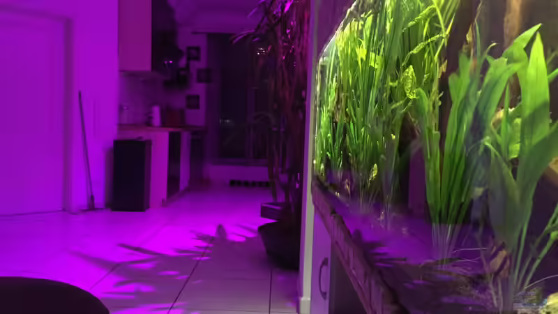 Aquarium Südamerika von Marius Stößer (53)