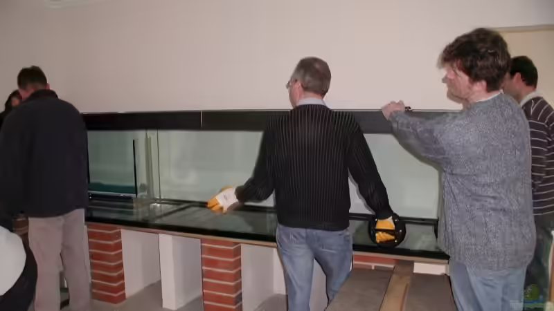 Aquarium Südamerika von Stefan-HL (2)