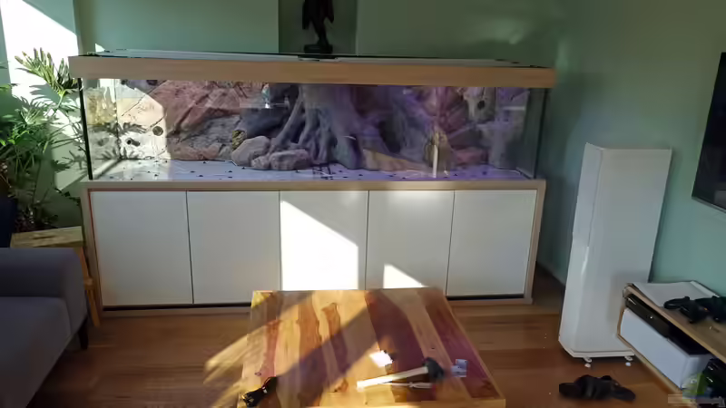 Aquarium Südamerikabecken von Bartleby (2)