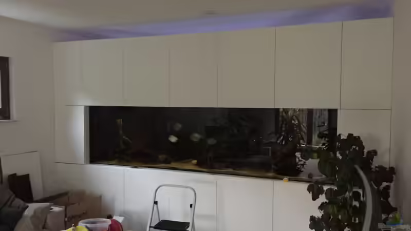 Aquarium Südamerikagesellschaft von JanH (11)