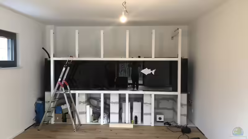 Aquarium Südamerikagesellschaft von JanH (9)