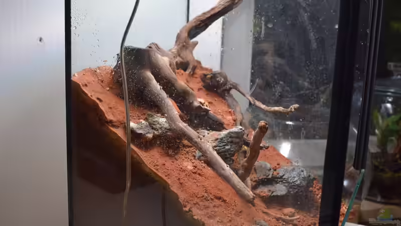 Aquarium Südhang am Weinberg von Junglist (2)