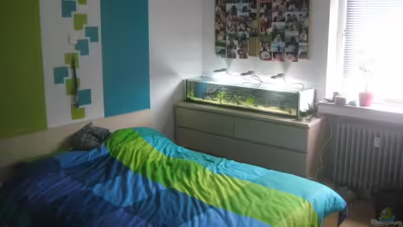 Aquarium SüdOstAsien (Indien) 105L (nur noch Beispiel) von Tiburón (3)