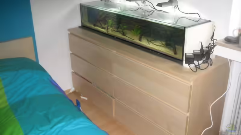 Aquarium SüdOstAsien (Indien) 105L (nur noch Beispiel) von Tiburón (4)