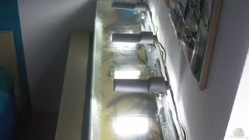 Aquarium SüdOstAsien (Indien) 105L (nur noch Beispiel) von Tiburón (5)