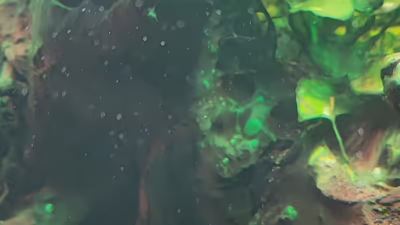 Aquarium Superfish von Ralf Bercke (4)