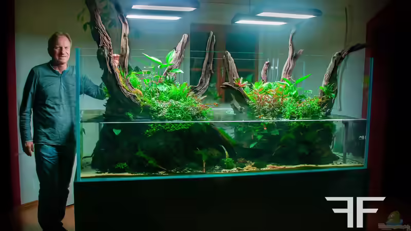 Aquarium Swamp spirit von Fredo Fuss (3)