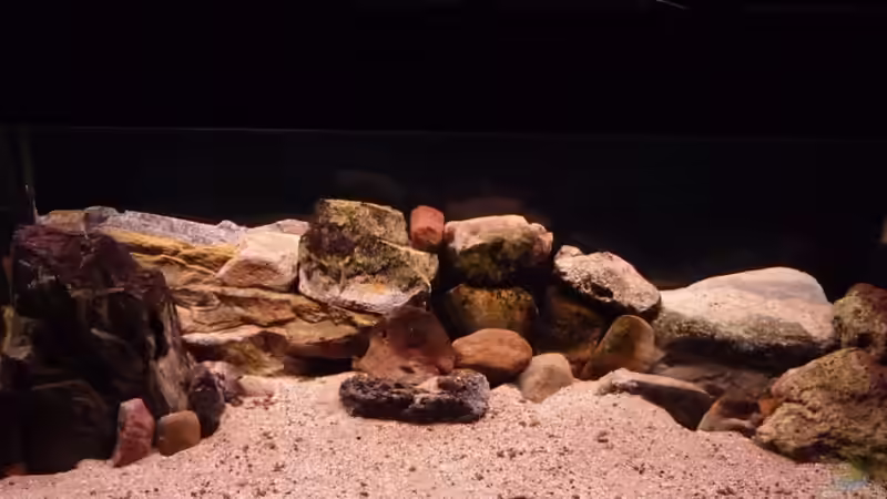 Aquarium Tanga-Arena (aufgelöst) von carkl (3)