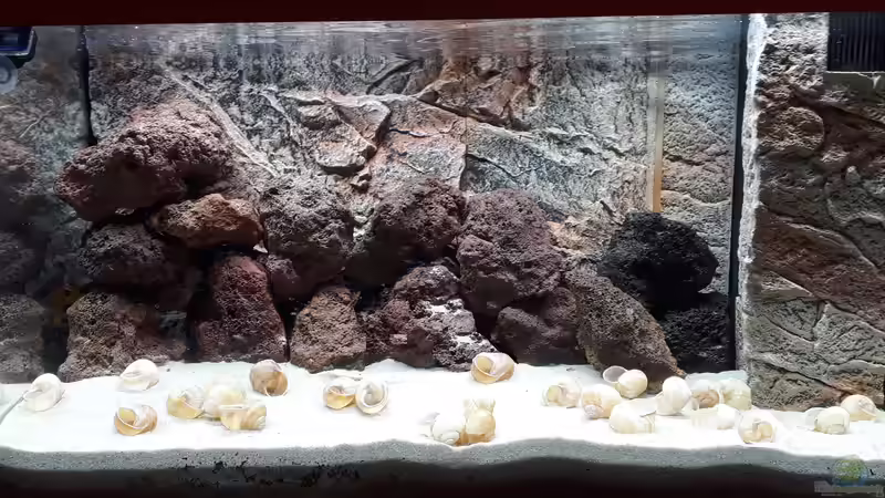 Aquarium Tanganjika 125 von NiRo (3)