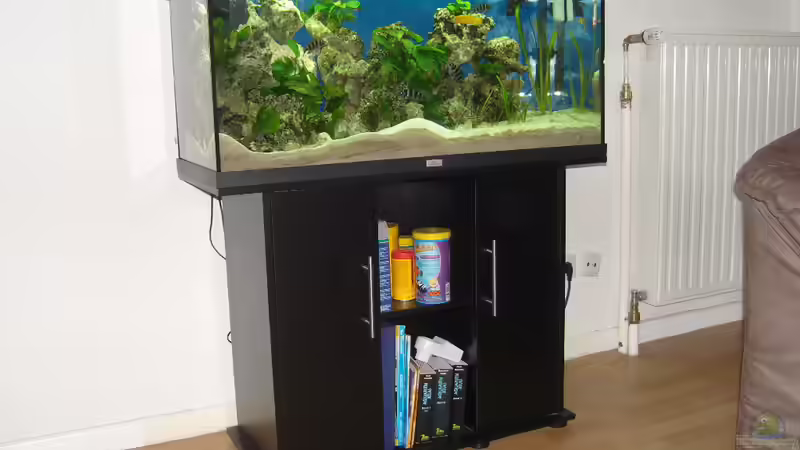Aquarium Tanganjika 200L von Benjamin Heinemeyer (2)