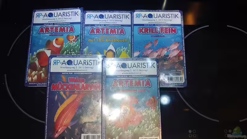 Aquarium Tanganjika-Becken von Shayla (13)