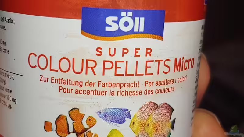 Aquarium Tanganjika-Becken von Shayla (14)