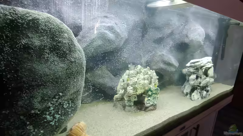 Aquarium Tanganjika-Becken von Shayla (4)