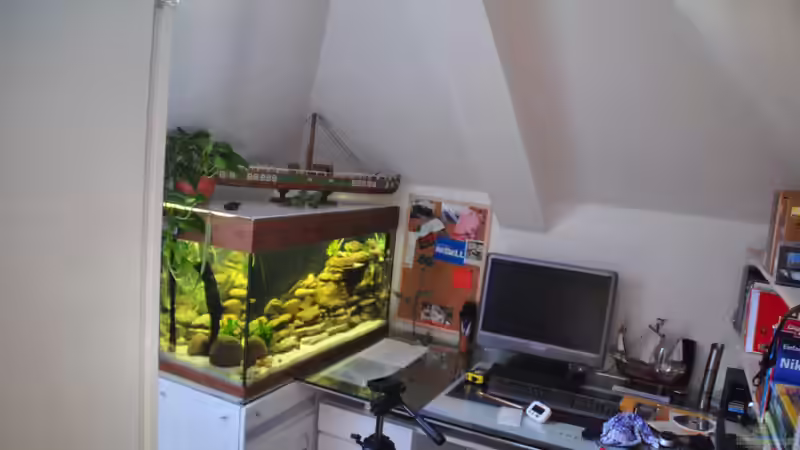 Aquarium Tanganjika Becken von stefan1979 (2)