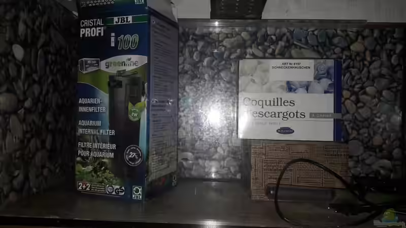 Aquarium Tanganjika Traum Aufgelöst von Nelle (2)