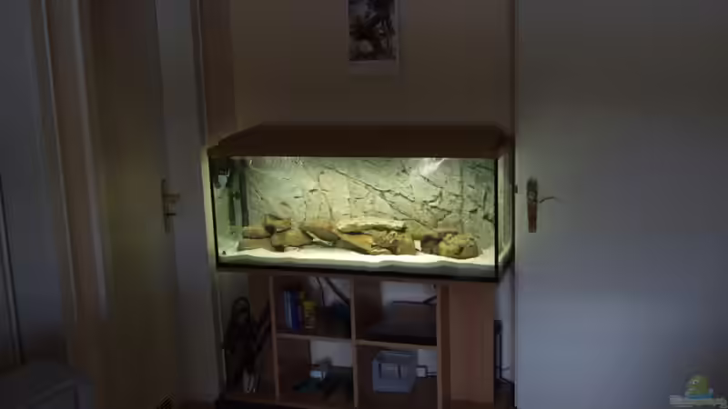 Aquarium Tanganjika von Rheinfelder (2)