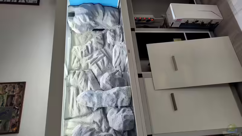 Aquarium Tanganjikasee ( Becken wurde aufgelöst) von Chris Heerwagen (20)