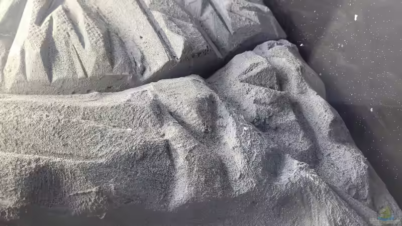 Aquarium Tanganjikasee ( Becken wurde aufgelöst) von Chris Heerwagen (30)