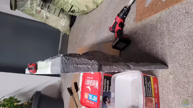 Aquarium Tanganjikasee ( Becken wurde aufgelöst) von Chris Heerwagen (42)