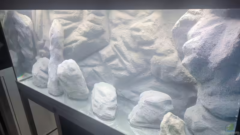 Aquarium Tanganjikasee ( Becken wurde aufgelöst) von Chris Heerwagen (47)