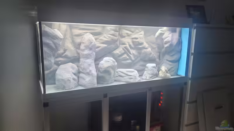 Aquarium Tanganjikasee ( Becken wurde aufgelöst) von Chris Heerwagen (51)