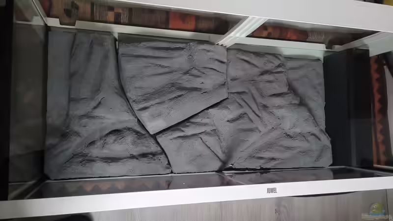 Aquarium Tanganjikasee ( Becken wurde aufgelöst) von Chris Heerwagen (53)