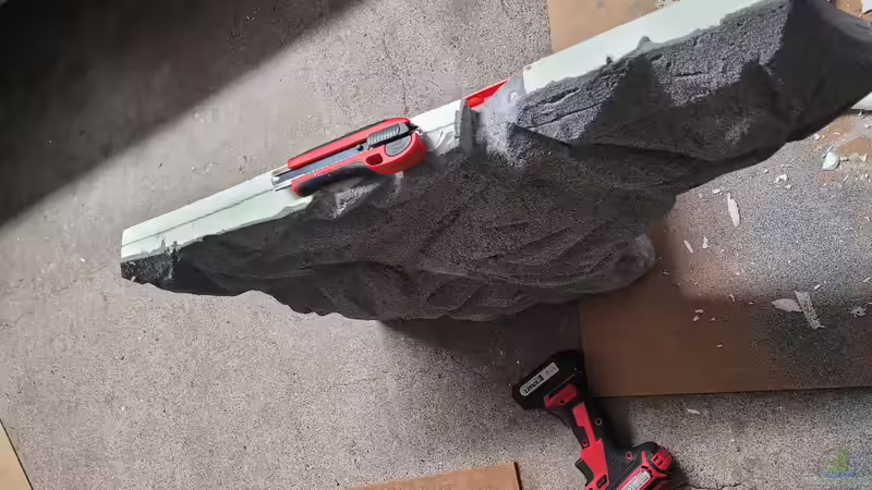 Aquarium Tanganjikasee ( Becken wurde aufgelöst) von Chris Heerwagen (55)