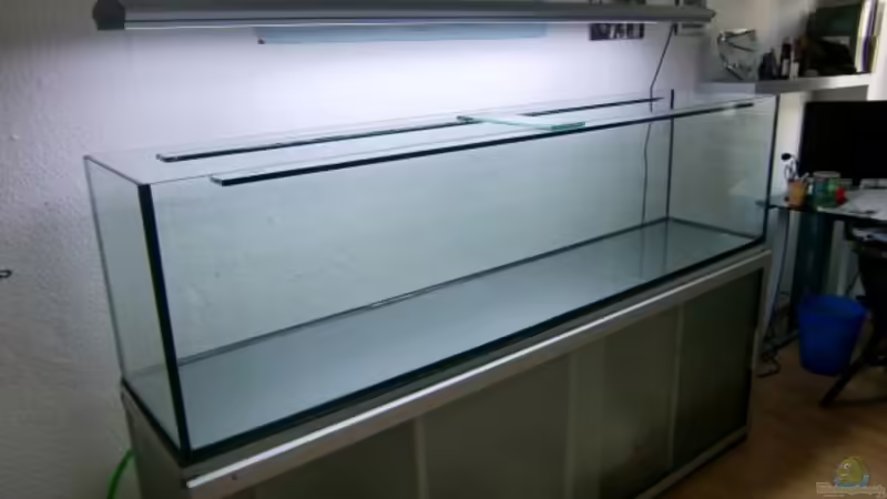 Aquarium Tanganyika-Lakeside von Akula (2)