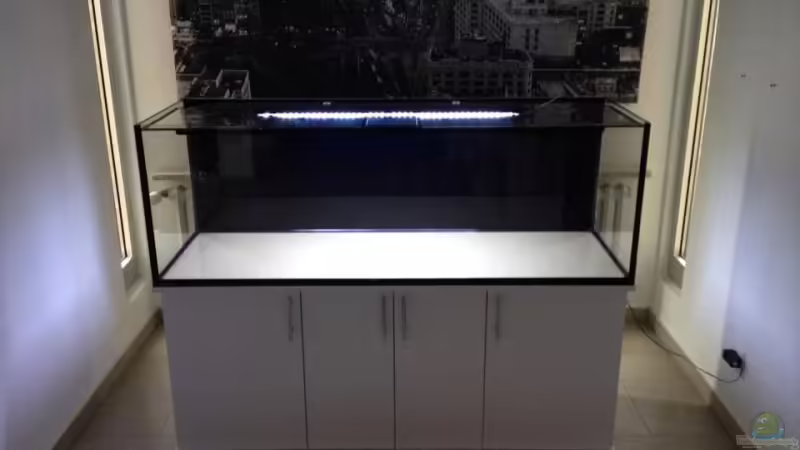 Aquarium Tank 2 NonMbuna von Vin (3)