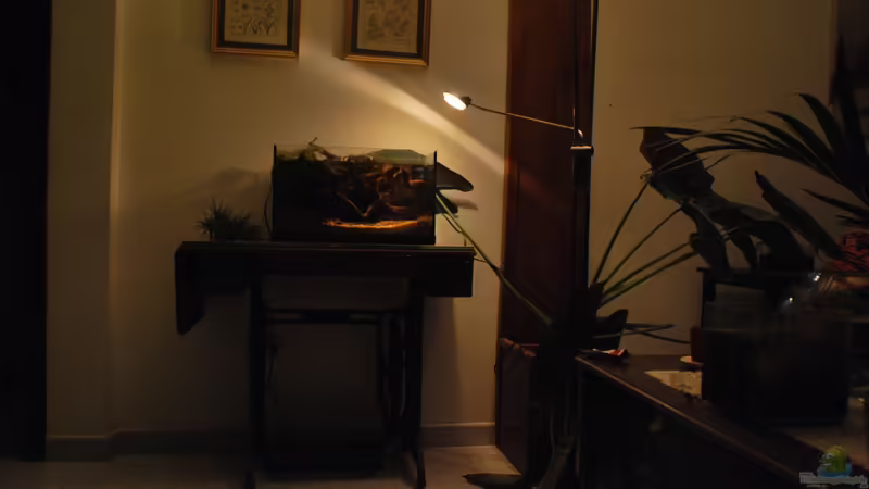 Aquarium tercera conca von lomarraco (3)