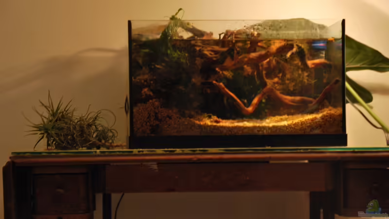 Aquarium tercera conca von lomarraco (5)