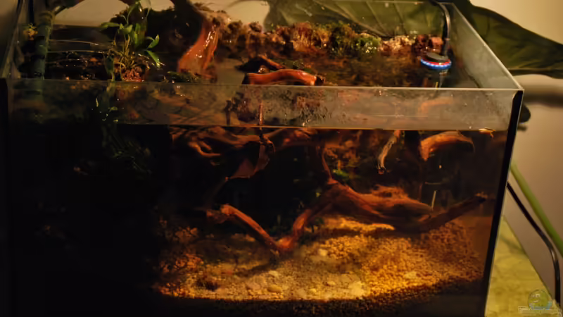 Aquarium tercera conca von lomarraco (8)