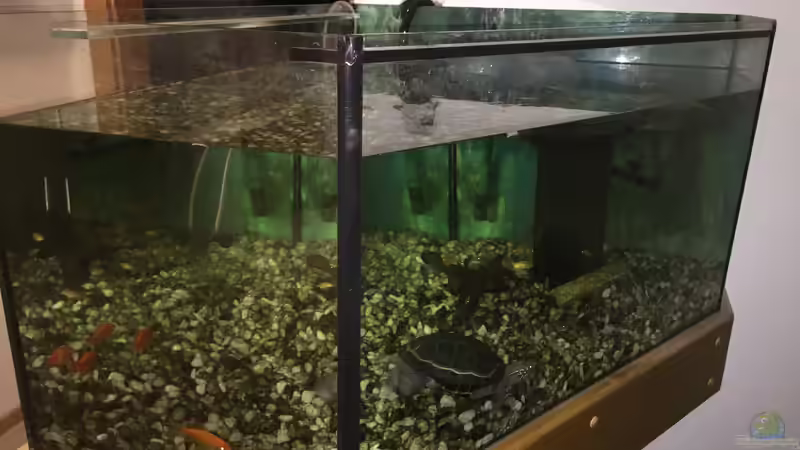 Aquarium Terrarium 34074 von PE_KI (2)