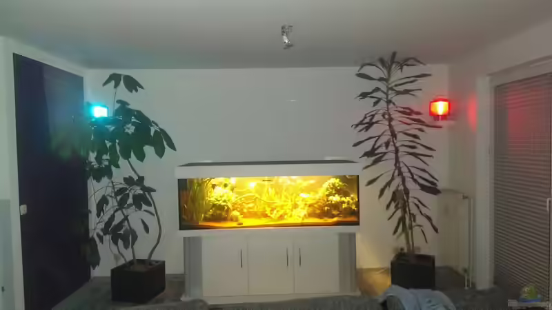 Aquarium Teufelsbecken von Seemann (2)