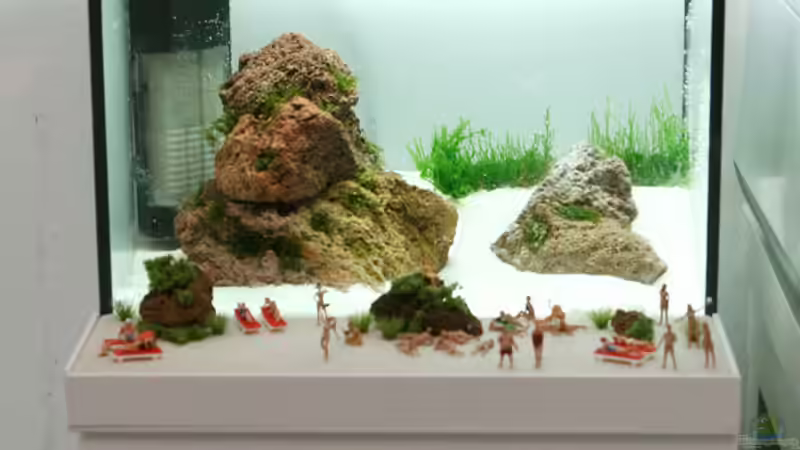 Aquarium The Beach von Thomas Limberg (2)