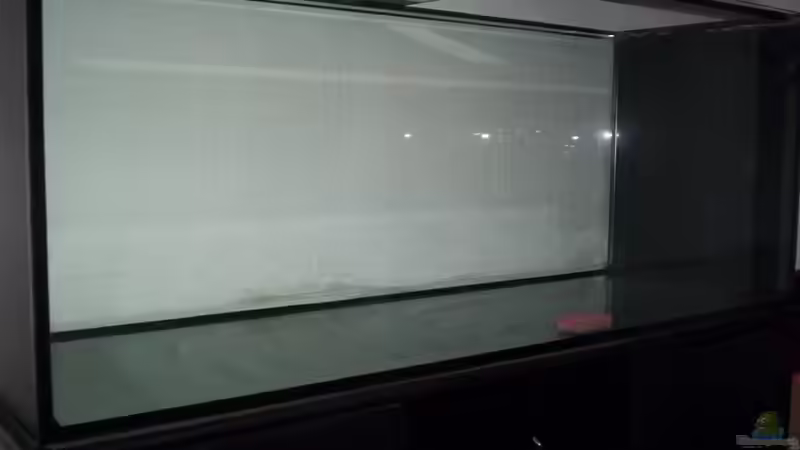 Aquarium The Big Woodland / Nur noch Beispiel / von Didi (2)