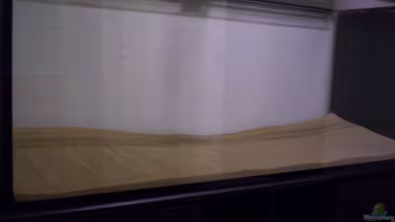 Aquarium The Big Woodland / Nur noch Beispiel / von Didi (3)