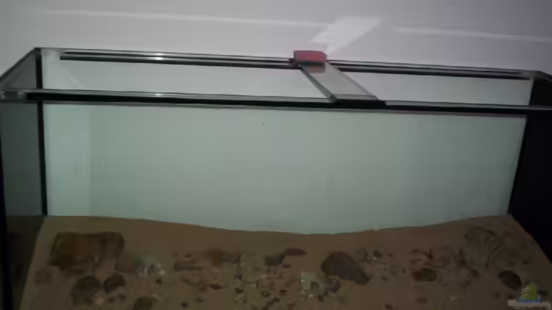 Aquarium The Big Woodland / Nur noch Beispiel / von Didi (4)