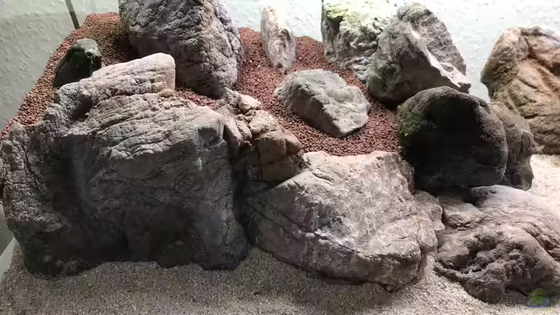 Aquarium The Canyon von Der Nicky (13)