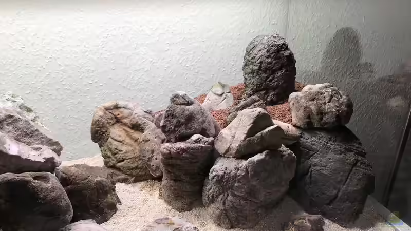 Aquarium The Canyon von Der Nicky (14)