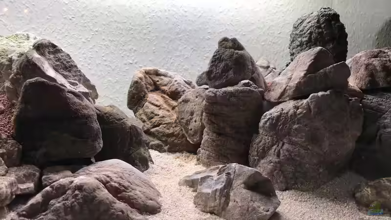 Aquarium The Canyon von Der Nicky (15)