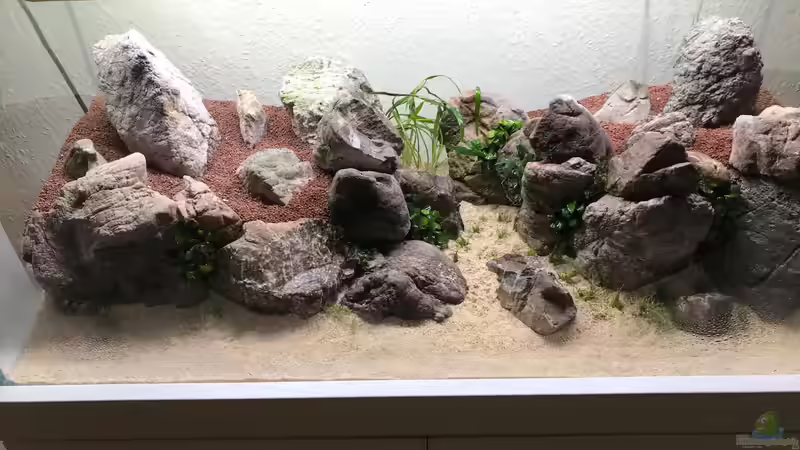 Aquarium The Canyon von Der Nicky (18)