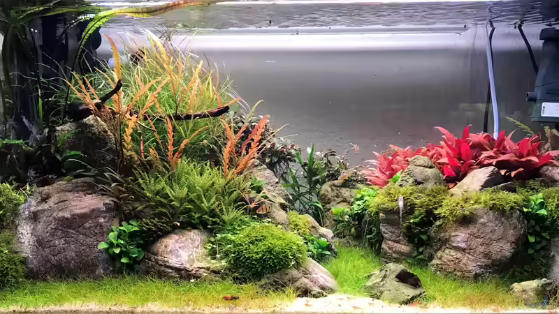 Aquarium The Canyon von Der Nicky (26)