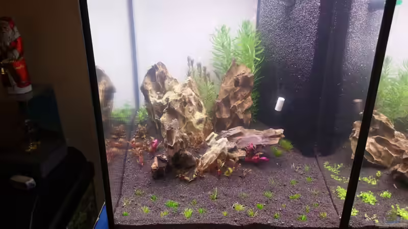 Aquarium The Diy von Lucky3310 (13)