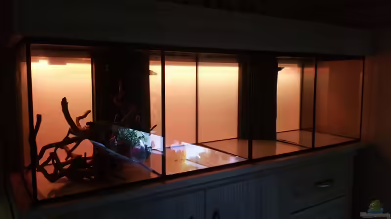 Aquarium The Diy von Lucky3310 (15)